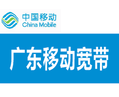 广东移动300兆宽带一年480
